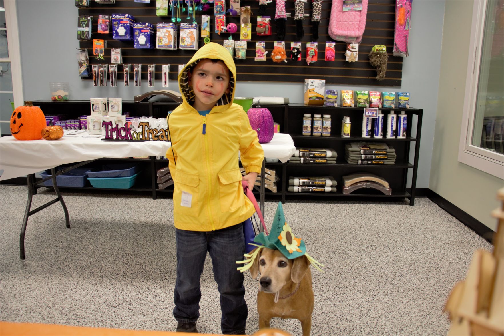 PetsInc (2).jpg